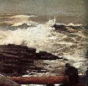 Winslow Homer Driftwood oil painting reproduction